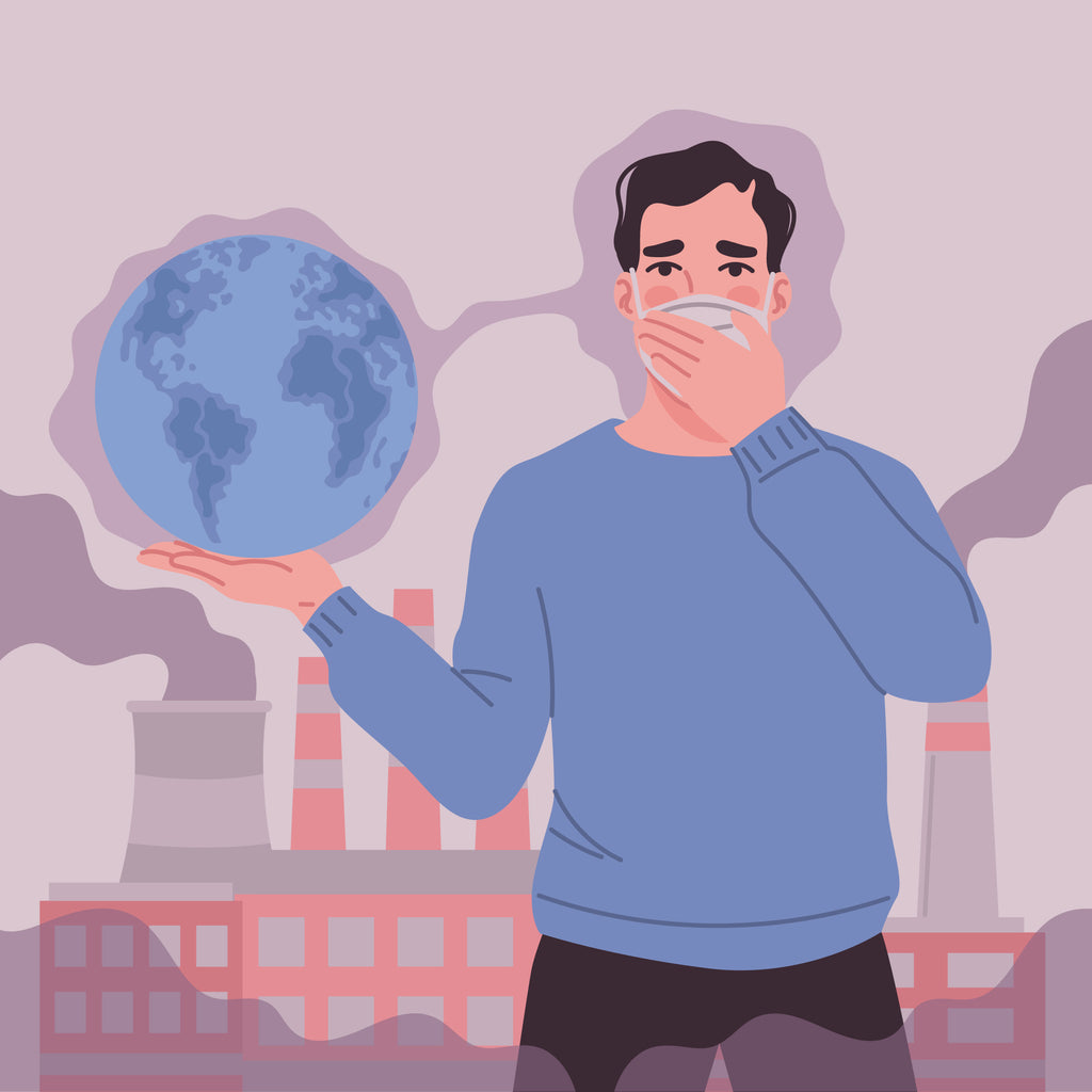 stay-safe-and-breathe-easy-with-kpesto-north-india-s-air-pollution-cr